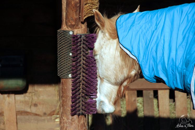 kratz-und massagebürste deluxe