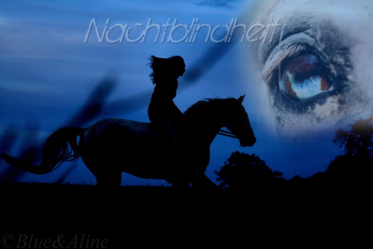 Nachtblindheit1