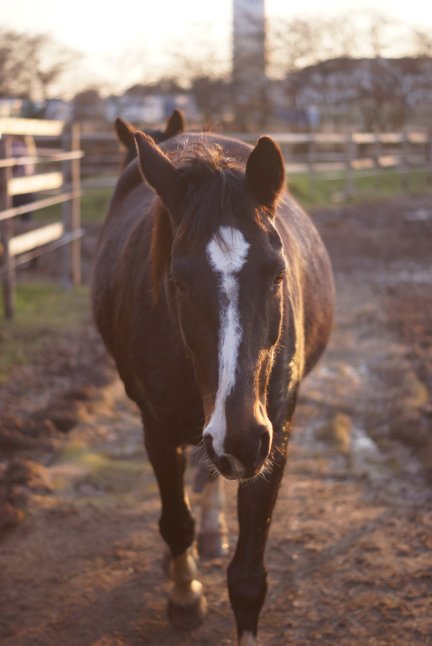 Gastbeitrag zweifel (2)
