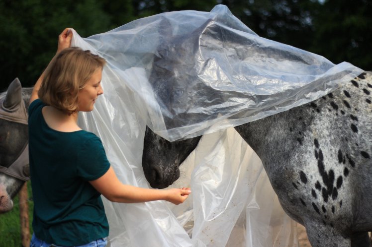 Gastbeitrag zweifel (4)