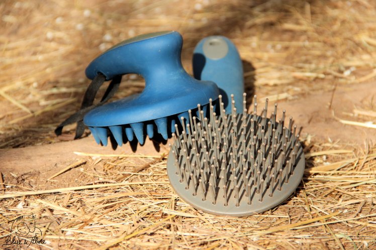 Lieblingsprodukt (1)