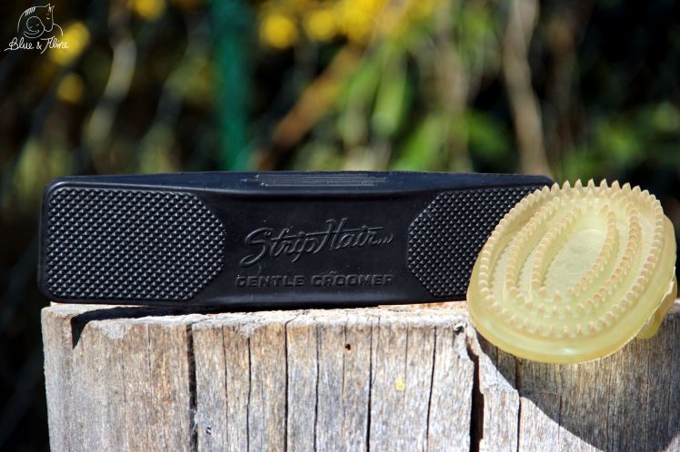 Lieblingsprodukt (4)