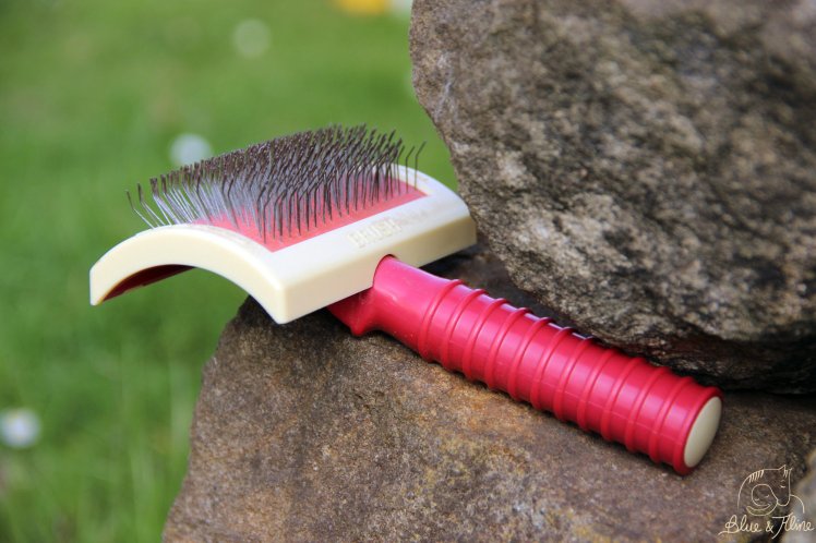 Lieblingsprodukt (8)