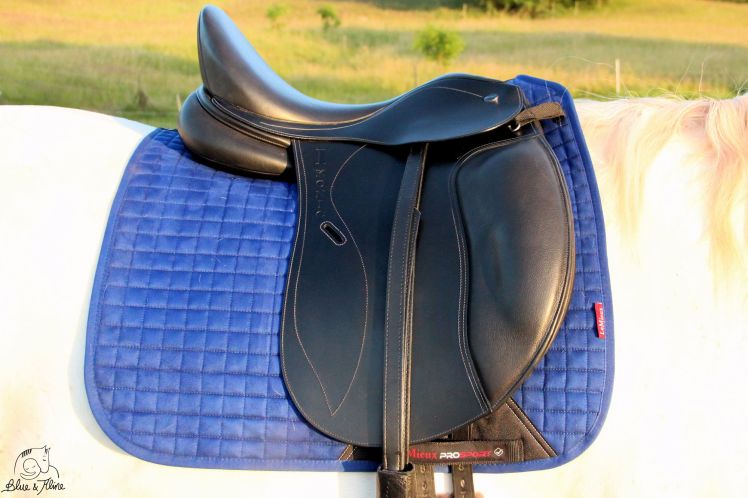 Schabracke LeMieux 1