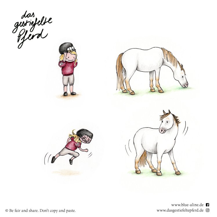 Das gestiefelte Pferd_Blue &amp; Aline_Football