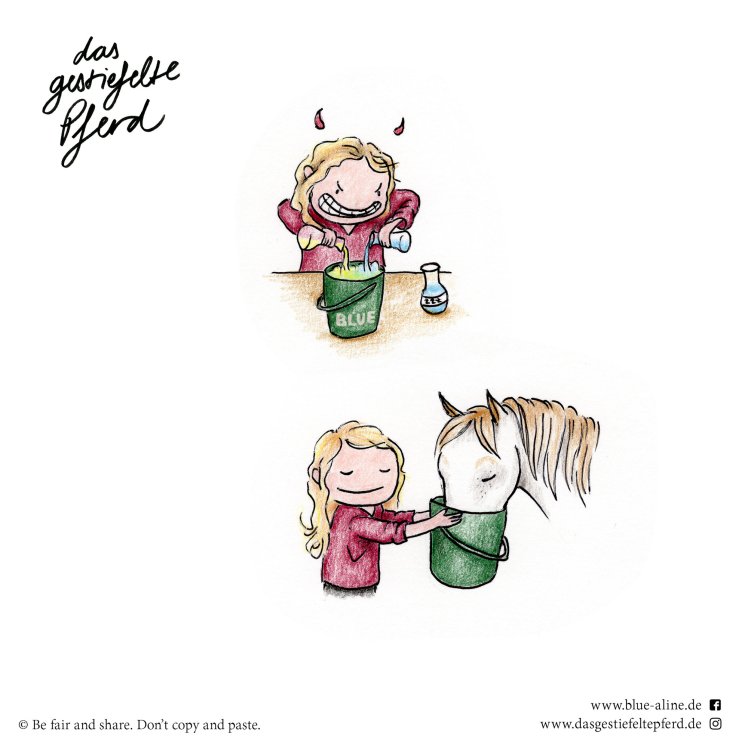 Das gestiefelte Pferd_Blue &amp; Aline_Schlafmittel