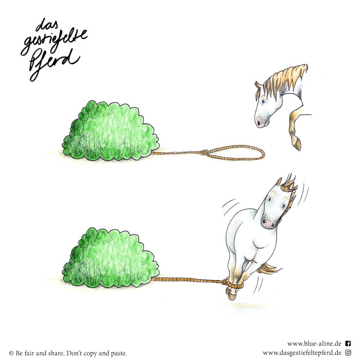 Das gestiefelte Pferd_Blue &amp; Aline_Seil