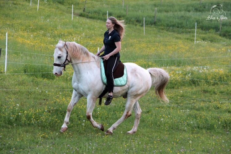 gebisslos Reiten (1)