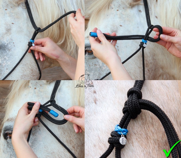 Knotenhalfter Knoten