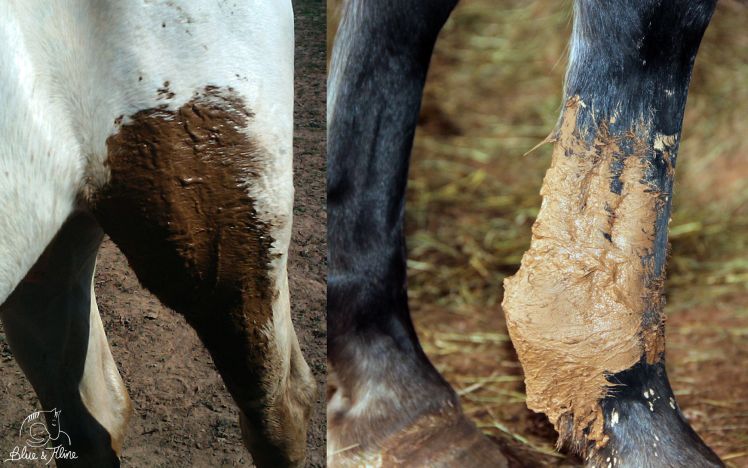 Krankheit Heilerde-Lehm