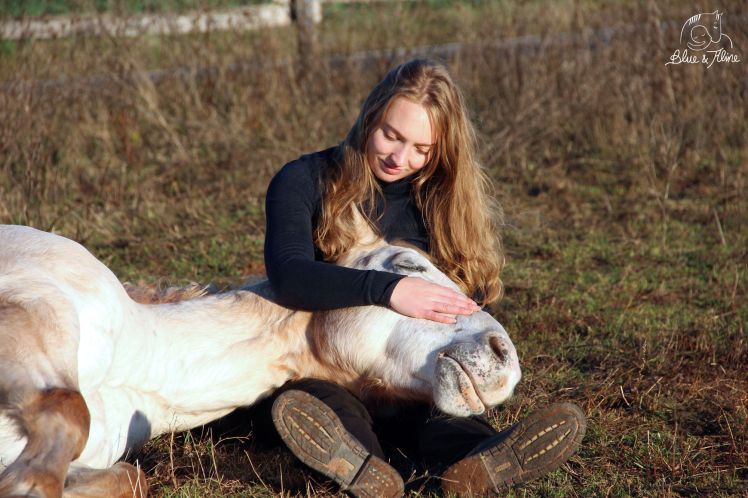 Pferd selbst ausbilden2