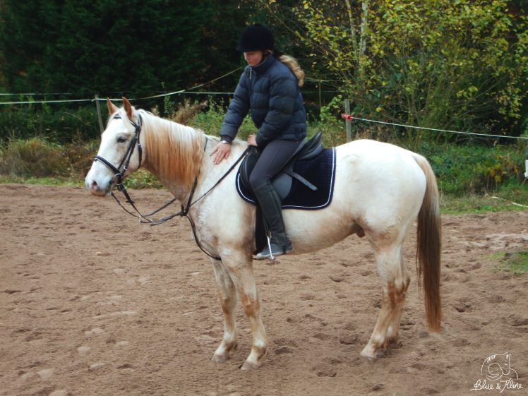 Wenn das Fohlen erwachsen wird 2007