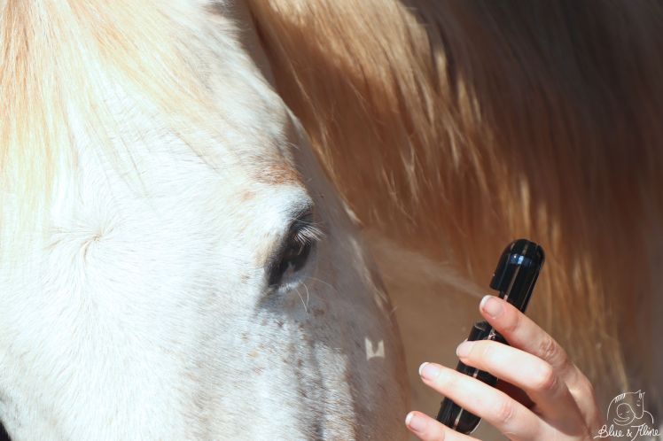 Streitfrei Augenpflege1