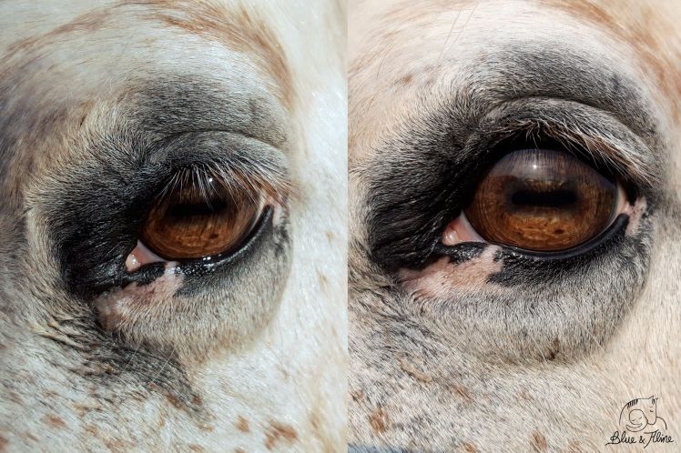 Streitfrei Augenpflege2