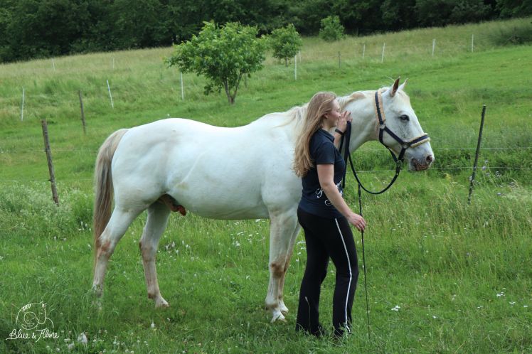 Bodenarbeit Grundlagen