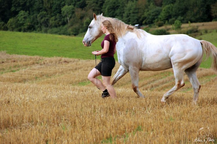 Bodenarbeit Grundlagen1