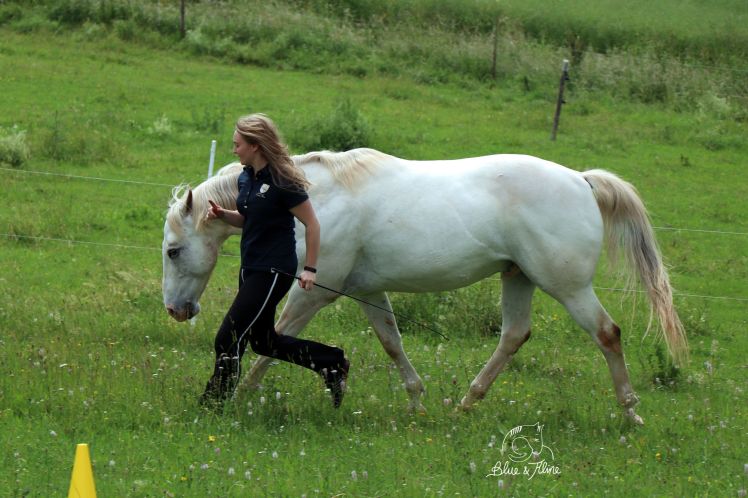 Bodenarbeit Grundlagen3
