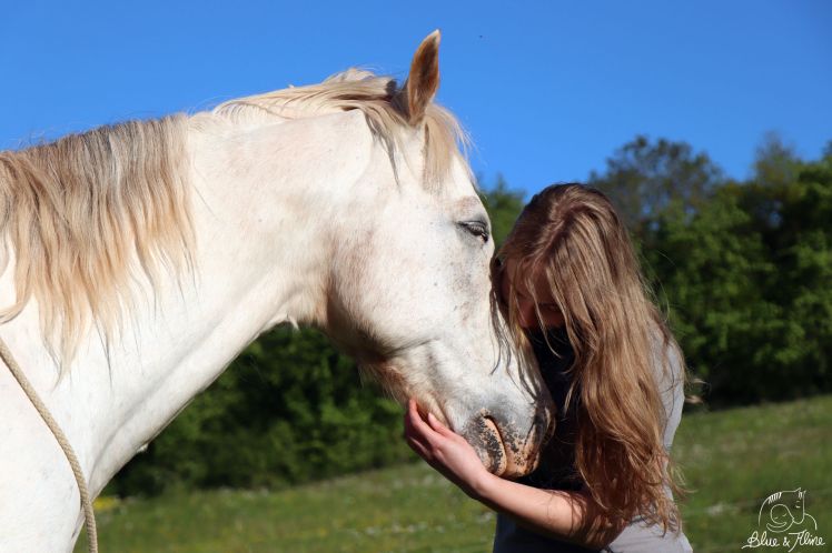 in guten wie in schlechten Zeiten