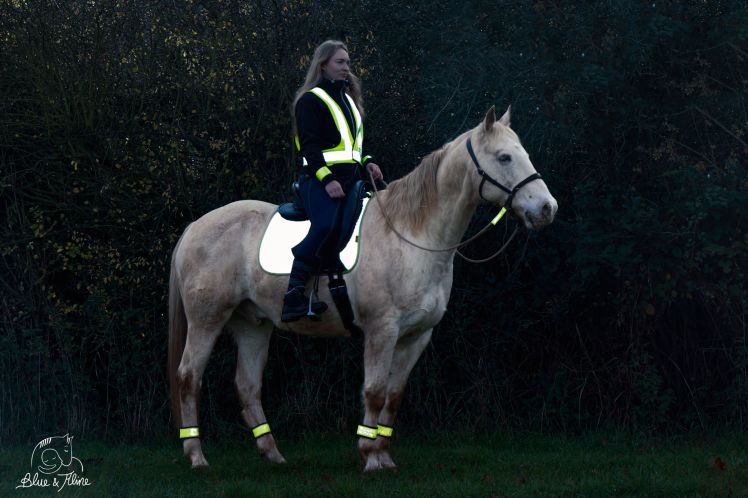 Reflexartikel - Reiten